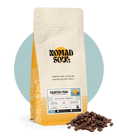 Pacifico Mae - Origine unique Costa Rica - Nomad Soul Coffee Co.